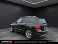 Daumennagel 6 - Mercedes-Benz GLK 250*EURO6*SPORTPAKET*BI-XENON*ALLRAD*TWA*
