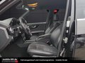 Daumennagel 11 - Mercedes-Benz GLK 250*EURO6*SPORTPAKET*BI-XENON*ALLRAD*TWA*