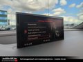 Daumennagel 18 - Audi SQ7 4.0*MATRIX*PANO*KEYLESS*7SITZER*VOLL