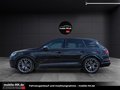 Daumennagel 8 - Audi SQ7 4.0*MATRIX*PANO*KEYLESS*7SITZER*VOLL