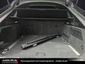 Daumennagel 26 - Audi A6 Avant 50TDI*PANO*MATRIX*KAMERA*SDHZG*S-LINE*