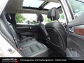 Daumennagel 16 - Renault Koleos Limited*KAMERA*PANO*LED*TWA*
