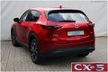 Daumennagel 6 - Mazda CX-5 2.2 SKYACTIV-D SPORTS-LINE AWD