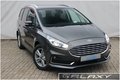 Daumennagel 5 - Ford Galaxy 2.0 EcoBlue Titanium