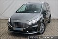 Daumennagel 1 - Ford Galaxy 2.0 EcoBlue Titanium