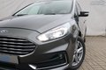 Daumennagel 26 - Ford Galaxy 2.0 EcoBlue Titanium