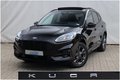 Daumennagel 1 - Ford Kuga 2.0 EcoBlue AWD ST-Line X