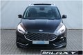 Daumennagel 3 - Ford Galaxy 2.0 EcoBlue Bi-Turbo VIGNALE