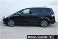 Daumennagel 22 - Ford Galaxy 2.0 EcoBlue Bi-Turbo VIGNALE