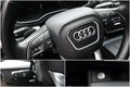 Daumennagel 17 - Audi Q5 2.0 TDI QUATTRO SPORT