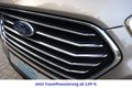 Daumennagel 35 - Ford Tourneo Custom 2.0 TDCi 320 L2 Titanium X