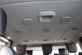 Daumennagel 29 - Ford Tourneo Custom 2.0 TDCi 320 L2 Titanium X