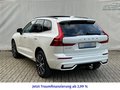 Daumennagel 9 - Volvo XC60 T8 AWD Recharge Ultimate Dark