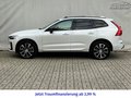 Daumennagel 10 - Volvo XC60 T8 AWD Recharge Ultimate Dark