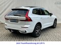 Daumennagel 7 - Volvo XC60 T8 AWD Recharge Ultimate Dark