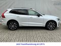 Daumennagel 6 - Volvo XC60 T8 AWD Recharge Ultimate Dark