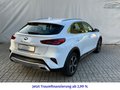 Daumennagel 7 - Kia XCeed Vision Plug-in Hybrid