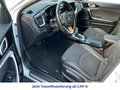 Daumennagel 14 - Kia XCeed Vision Plug-in Hybrid