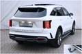 Daumennagel 8 - Kia Sorento 2.2 CRDi 4WD PLATINUM