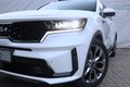 Daumennagel 25 - Kia Sorento 2.2 CRDi 4WD PLATINUM