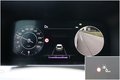 Daumennagel 29 - Kia Sorento 2.2 CRDi 4WD PLATINUM