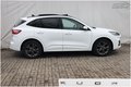 Daumennagel 9 - Ford Kuga 2.5 Duratec Plug-in-Hybrid PHEV ST-Line X