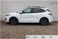 Daumennagel 29 - Ford Kuga 2.5 Duratec Plug-in-Hybrid PHEV ST-Line X