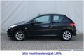 Daumennagel 21 - Peugeot 206 +