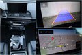 Daumennagel 15 - Audi Q5 50 Sportback 3.0 TDI QUATTRO 3xS-LINE COUPE