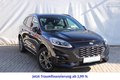 Daumennagel 5 - Ford Kuga 2.5 Duratec Plug-in-Hybrid PHEV ST-Line X