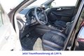Daumennagel 8 - Ford Kuga 2.5 Duratec Plug-in-Hybrid PHEV ST-Line X