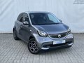 Daumennagel 5 - smart forfour 1.0 Prime