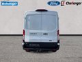 Daumennagel 4 - Ford Transit 350L3 Trend Kastenwagen