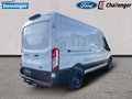 Daumennagel 5 - Ford Transit 350L3 Trend Kastenwagen