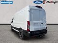 Daumennagel 3 - Ford Transit 350L3 Trend Kastenwagen