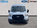 Daumennagel 8 - Ford Transit 350L3 Trend Kastenwagen