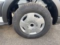 Daumennagel 9 - Ford Transit 350L3 Trend Kastenwagen