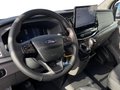 Daumennagel 10 - Ford Transit 350L3 Trend Kastenwagen