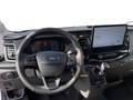 Daumennagel 11 - Ford Transit 350L3 Trend Kastenwagen