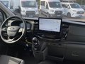 Daumennagel 12 - Ford Transit 350L3 Trend Kastenwagen