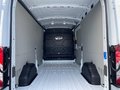 Daumennagel 22 - Ford Transit 350L3 Trend Kastenwagen