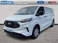 Daumennagel 1 - Ford Kastenwagen 320L2 Trend