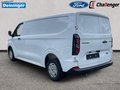Daumennagel 3 - Ford Kastenwagen 320L2 Trend