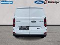 Daumennagel 4 - Ford Kastenwagen 320L2 Trend