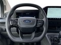 Daumennagel 11 - Ford Kastenwagen 320L2 Trend