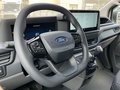 Daumennagel 12 - Ford Kastenwagen 320L2 Trend