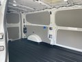 Daumennagel 22 - Ford Kastenwagen 320L2 Trend