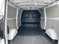 Daumennagel 23 - Ford Kastenwagen 320L2 Trend