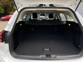 Daumennagel 23 - Ford Focus Titanium