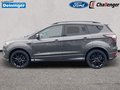 Daumennagel 3 - Ford Kuga 1.5 l EcoBoost 4x4 ST-LINE Autom. NAVI/DAB/RFK AHK DESIGN/WINTER-PAKET PANORAMADACH el. HECKKLAPPE LMF 19``